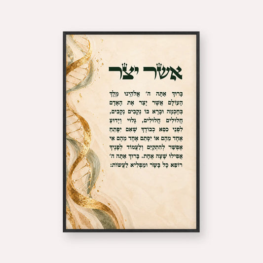 Asher Yatzar Blessing – Golden DNA Double Helix Jewish Wall Art in Black Frame
